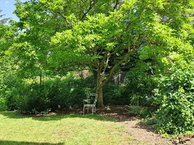 Ein Garten an der Unterkunft Nostalgie-Nest mit Boxspringbett