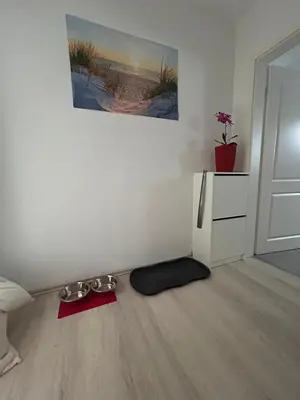 Grundriss der Unterkunft Must love dogs