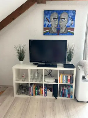 TV/Unterhaltungsangebot in der Unterkunft Must love dogs