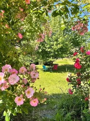 Ein Garten an der Unterkunft Mosel Urlaub Stabenhof - Whirlpool, Natur und Grill