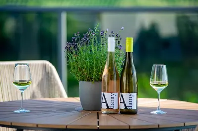 Getränke in der Unterkunft Moselappartements by Weingut Marco Adamy