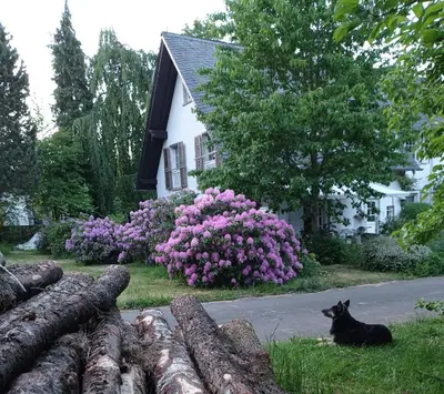 Ein Garten an der Unterkunft Privatzimmer im Landhaus mit großem Garten und Parkplatz