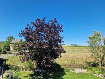Ein Garten an der Unterkunft Ferienwohnung Flair