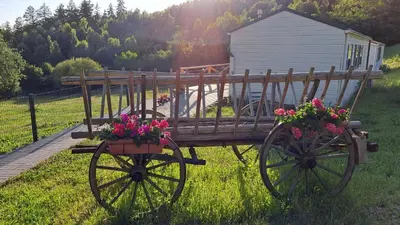 Ein Garten an der Unterkunft Haus Eselsblick