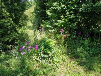 Ein Garten an der Unterkunft Ferienwohnung Lampertstal in Alendorf, Toskana der Eifel