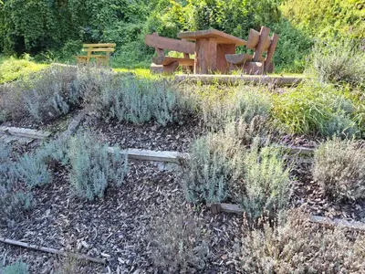 Ein Garten an der Unterkunft Ferienweingut St. Martin