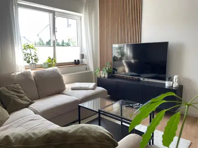 TV/Unterhaltungsangebot in der Unterkunft MiniLoft Andernach