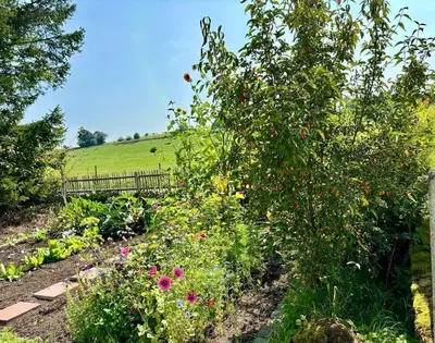Ein Garten an der Unterkunft Ruhiges Lay-Haus in der Vulkaneifel, bis zu 7 Personen mit Terrasse, Garten und Kamin
