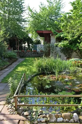Ein Garten an der Unterkunft Ferienwohnungen am Stadtpalais Haus Weinberg