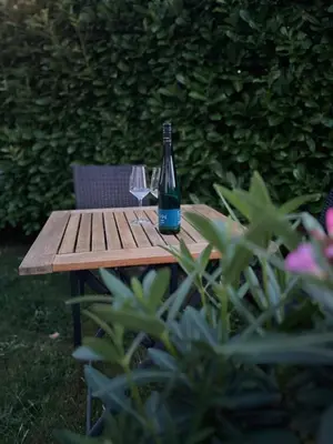 Ein Garten an der Unterkunft Appartement Willems