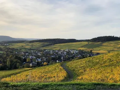 Naturlandschaft in der Nähe der Ferienwohnung
