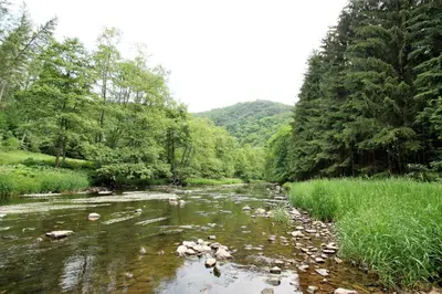 Naturlandschaft in der Nähe des Gasthauses