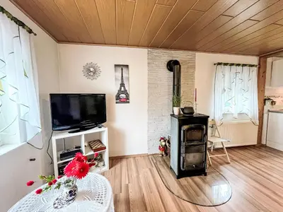 TV/Unterhaltungsangebot in der Unterkunft Apartment Ferienwohnung Renata 1 nahe Nürburgring by Interhome