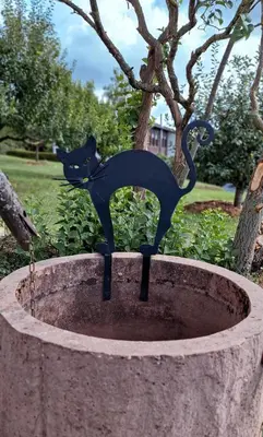 Ein Garten an der Unterkunft Die 2 Schwestern