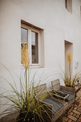 Ein Garten an der Unterkunft JASTA Homes Mosel, zentral, Netflix, Waschmaschine, Terrasse, Privateingang, Erdgeschoss, ältester Weinort Deutschlands