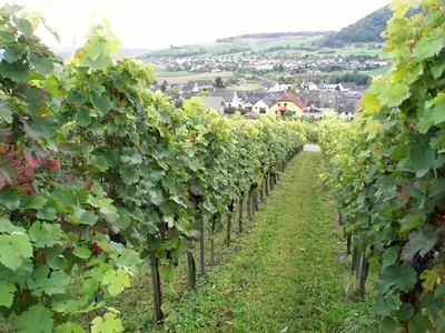 Naturlandschaft in der Nähe des Ferienhauses