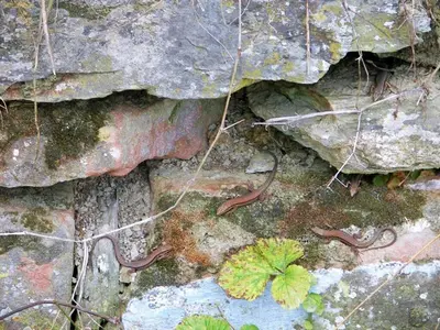 Naturlandschaft in der Nähe des Ferienhauses