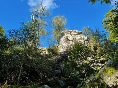 Naturlandschaft in der Nähe der Ferienwohnung
