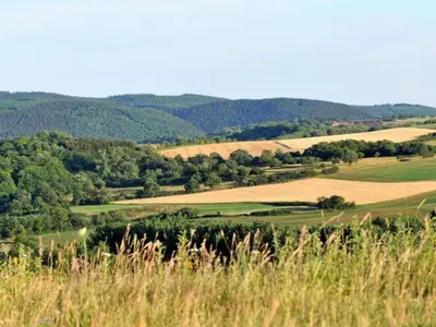 Naturlandschaft in der Nähe des Ferienhauses