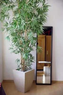 Grundriss der Unterkunft BAT Home Solutions Trier-Euren - alles was ein Hotel nicht bietet - 35 qm Ferienwohnung, Heimkino, Wallbox, Küche für 4 Personen