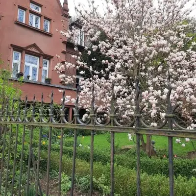 Ferienwohnung der besonderen Art in Villa am Glan
