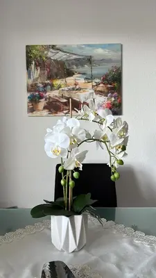 Grundriss der Unterkunft Ferienwohnung Moselzauber