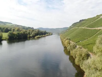 Grundriss der Unterkunft Wine Country Apartment