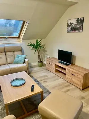 TV/Unterhaltungsangebot in der Unterkunft Apartment Dobias