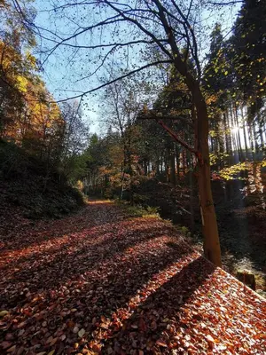 Naturlandschaft in der Nähe der Ferienwohnung