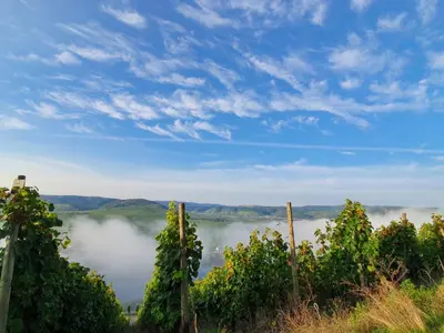 Naturlandschaft in der Nähe der Ferienwohnung