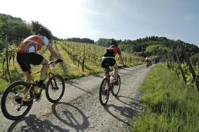 Radfahren an der Unterkunft Cozy Koori 1770- Villa Rizas Hills oder in der Nähe