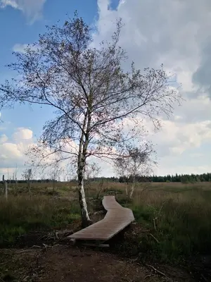 Naturlandschaft in der Nähe der Ferienwohnung