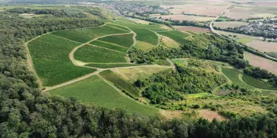 Naturlandschaft in der Nähe der Ferienwohnung