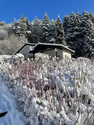 Ferienhaus 926 im Winter