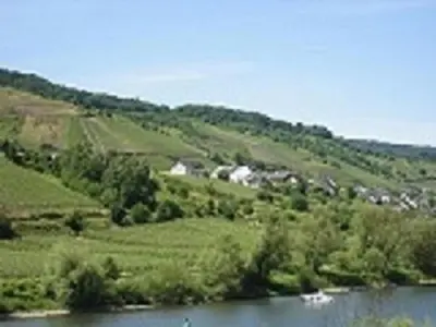 Naturlandschaft in der Nähe der Ferienwohnung