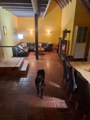 Ein Sitzbereich in der Unterkunft Haus Burg, Ferienhaus