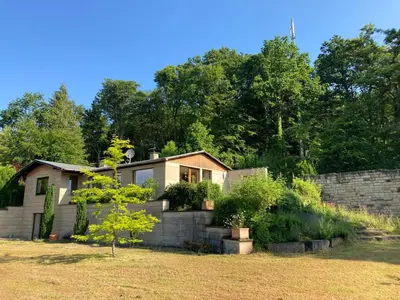Ein Garten an der Unterkunft Ferienhaus Eifelgruß, in schöner Waldrandlage und tollem Naturgarten
