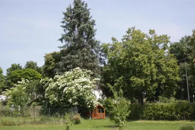 Ein Garten an der Unterkunft Ferienwohnungen Maijeschhof