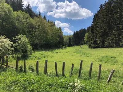 Naturlandschaft in der Nähe des Ferienhauses