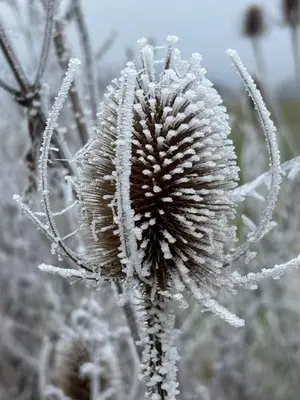 Panorama-Auszeit in Trierweiler im Winter