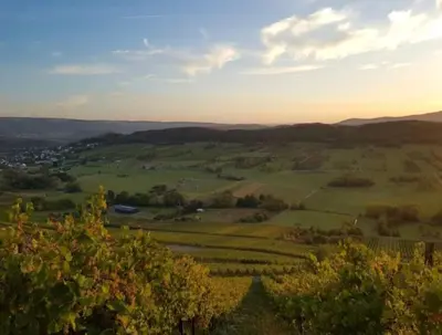 Naturlandschaft in der Nähe der Ferienwohnung