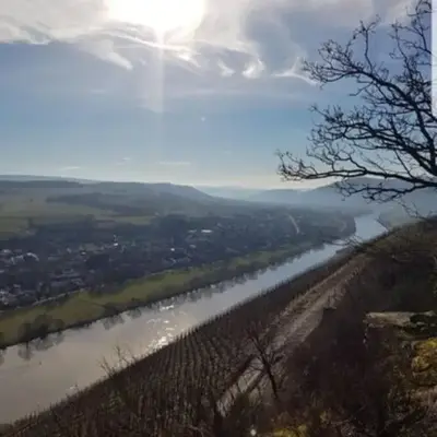Vacation home Moselsteg