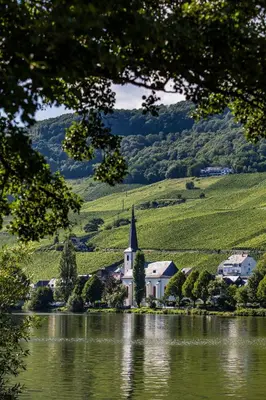 Naturlandschaft in der Nähe des Privatzimmers