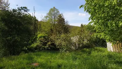 Naturlandschaft in der Nähe des Ferienhauses