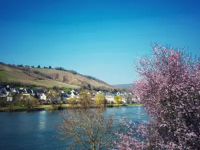 Naturlandschaft in der Nähe der Ferienwohnung