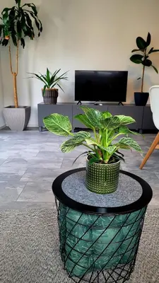 TV/Unterhaltungsangebot in der Unterkunft Ruhig gelegende Ferienwohnung an der Mosel