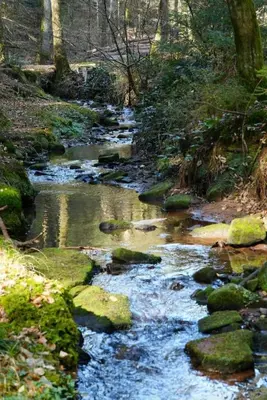 Naturlandschaft in der Nähe der Ferienwohnung