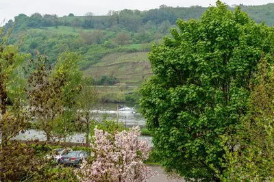 Naturlandschaft in der Nähe der Ferienwohnung