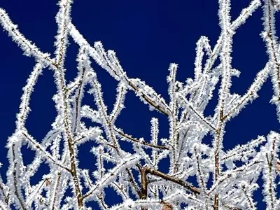 5-Sterne Wohlfühl-Ferienhaus Eifellust im Winter