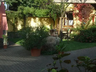 Ein Garten an der Unterkunft Weingut Gorges-Reinhard
